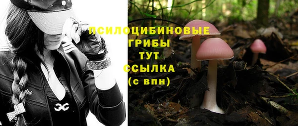 наркотики Горняк