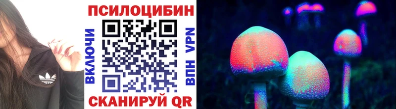 Псилоцибиновые грибы Magic Shrooms  Грайворон 