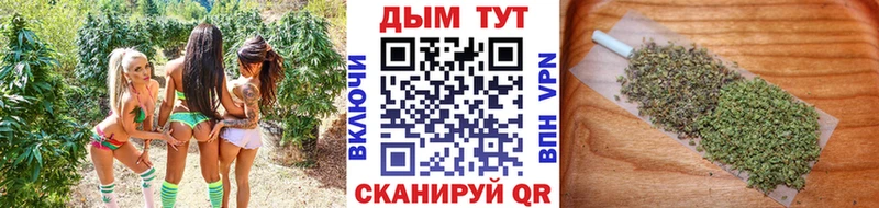 Канабис THC 21%  наркота  Грайворон 